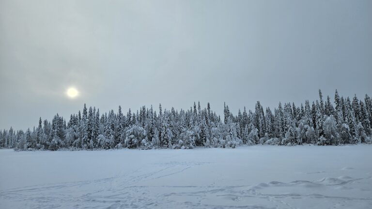 19 février 2026 ice fishing or reindeers ?