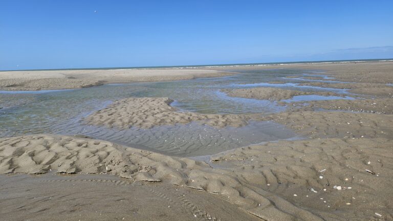 Jour 8 : Etaples à Stella plage